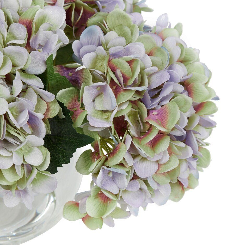 Hortensia lilla detalj