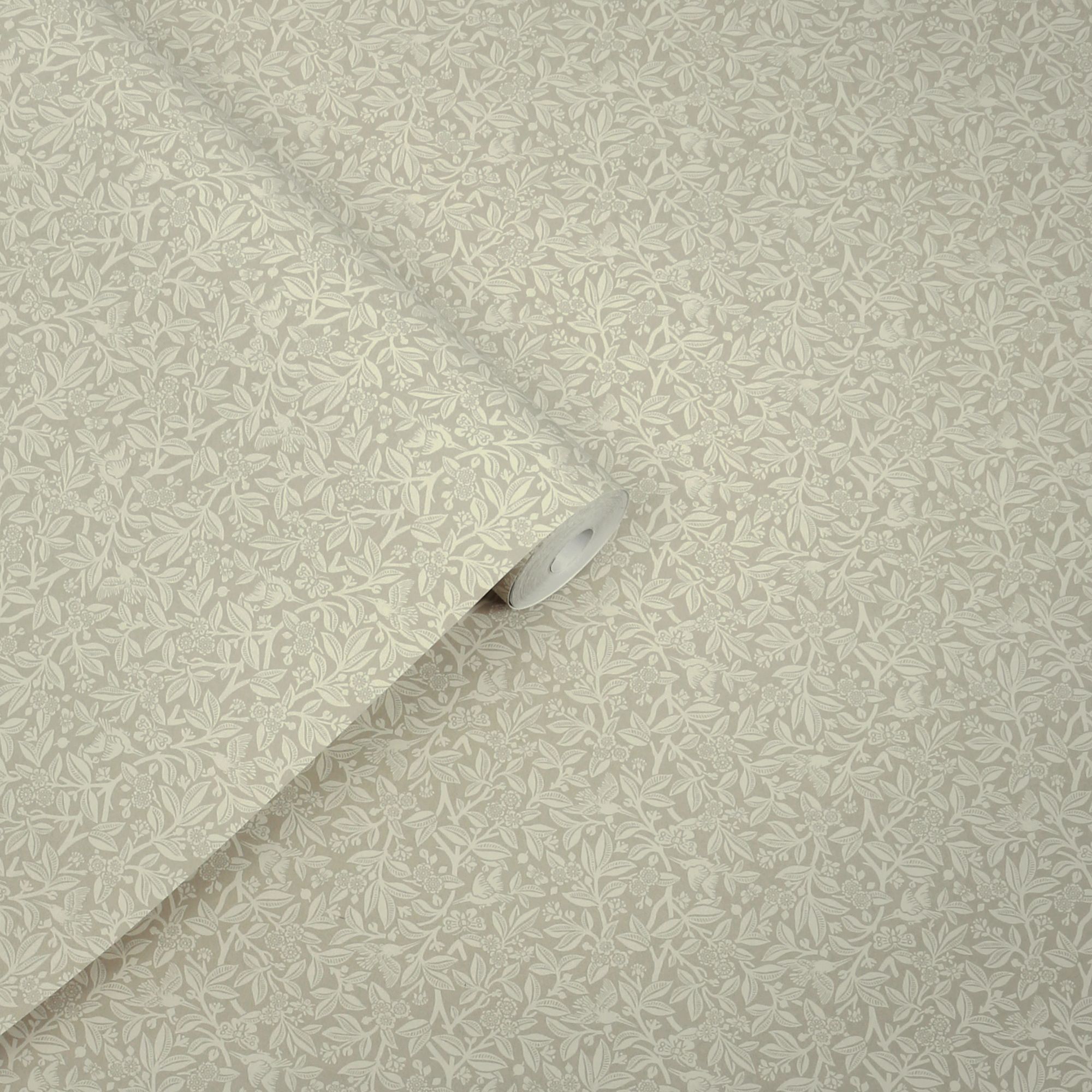 140320_NUTGROVE-LICHEN_ROLLSHOT_01